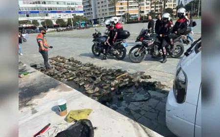 Denizden Çıkan Atıklar Sanat Eserine Dönüşecek