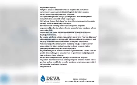 DEVA Partisi'nden Beykoz'daki Sokak Köpekleri Sorununa Tepki