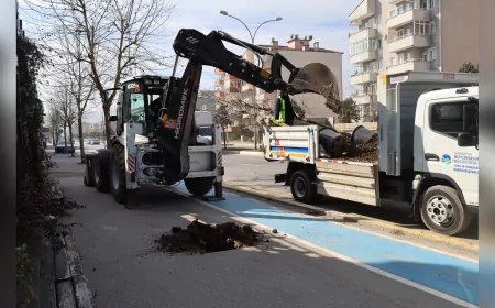 Büyükşehir ‘Yeşil’ Dokunuşla Şehrin Çehresini Değiştiriyor