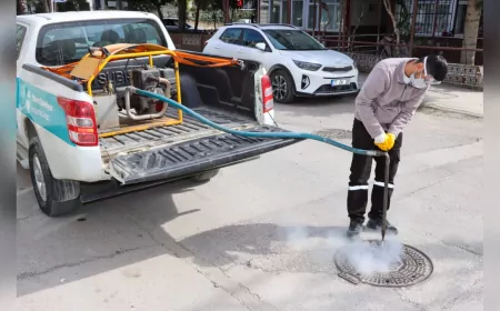 Yalova Belediyesi Uçkunla Mücadeleye Devam Ediyor