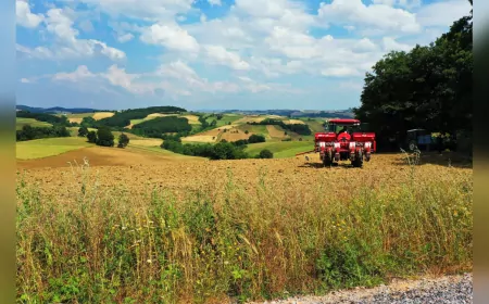 Kocaeli Büyükşehir, Çiftçilere Yüzde 50 Hibeli Yem Bitkisi Tohumu ve Gübre Desteği Sunacak