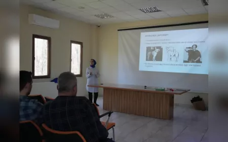 Düzce Belediyesi, İlçe Belediyelerine Sokak Hayvanları Eğitim Desteği Verdi