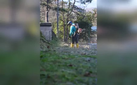 Giresun Kalesi Yeniden Temizlendi ve Bahara Hazır Hale Getirildi