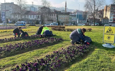 Trabzon Büyükşehir Belediyesi’nden Yeşil Dokunuş