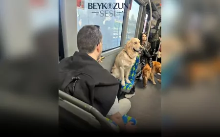Metrobüste Öncelikli Koltuğa Oturtulan Köpek Tartışma Yarattı!
