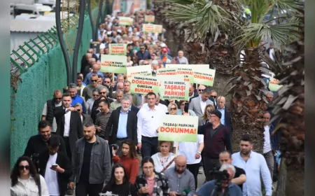 Giresun Belediyesi, Taşbaşı Parkı İçin Tapu İptal ve Tescil Davası Açtı