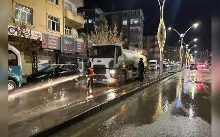 Van Büyükşehir Belediyesi Kent Genelinde Bahar Temizliği Başlattı