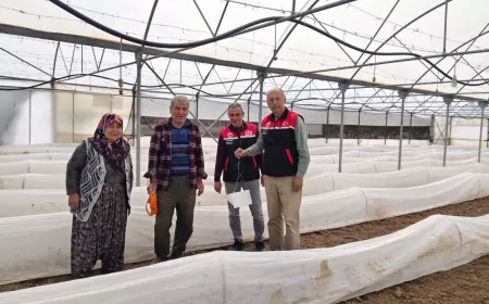 Eskişehir’de Domates Seralarında Zararlı Takibi Başladı