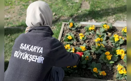 Sakarya Millet Bahçesi Yaz Sezonuna Hazırlanıyor
