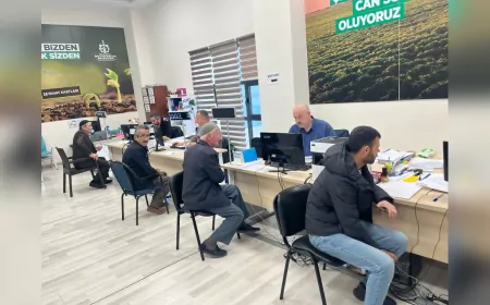 Kocaeli Büyükşehir'den Çiftçiye Destek Yağmuru: Tohum ve Gübrede Yüzde 50 Hibe