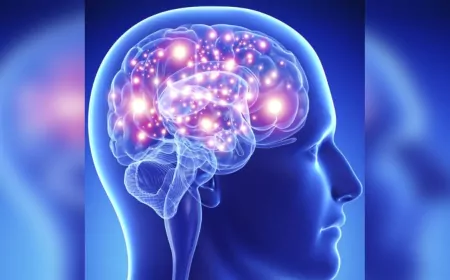 Beynin Kendini İyileştirme Yeteneği Öğrenme Güçlüğüne Umut Oluyor