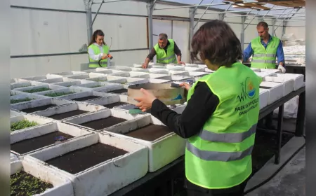 Van Büyükşehir Belediyesi 145 Bin Mevsimlik Çiçek Üretiyor