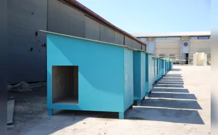 Can Dostlar İçin Yeni Kulübeler ve Mamamatikler Hazırlanıyor