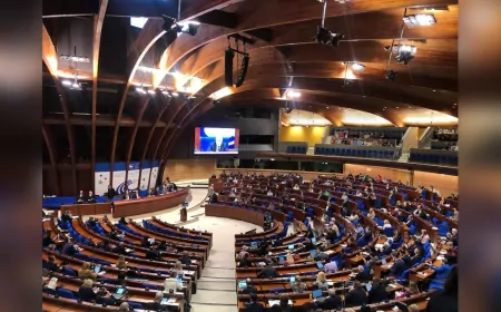 DBB Meclis Üyesi, Avrupa Konseyi’nde Kayyım Uygulamalarına Tepki Gösterdi