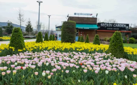Bursa Büyükşehir Belediyesi, Parkları Lale ve Çiçeklerle Renklendirdi