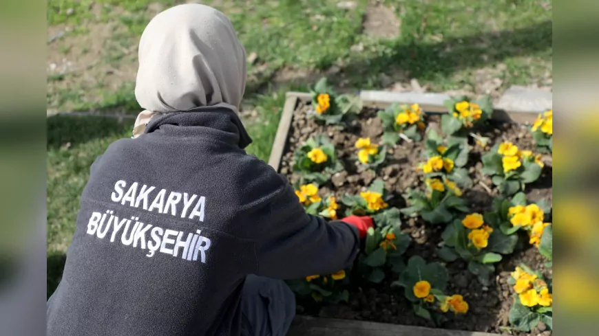 Sakarya Millet Bahçesi Yaz Sezonuna Hazırlanıyor