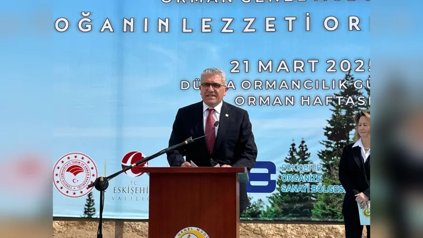 Eskişehir’de 21 Mart Dünya Ormancılık Günü’nde 6 Bin Fidan Toprakla Buluştu