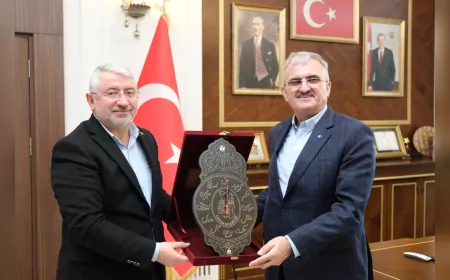 Çorum, Sokak Hayvanları Konusunda Türkiye’ye Örnek Oluyor