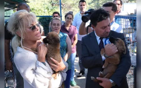 Muğla Büyükşehir Belediyesi Geçici Hayvan Bakımevi, Can Dostlara Dört Dörtlük Hizmet Sunuyor