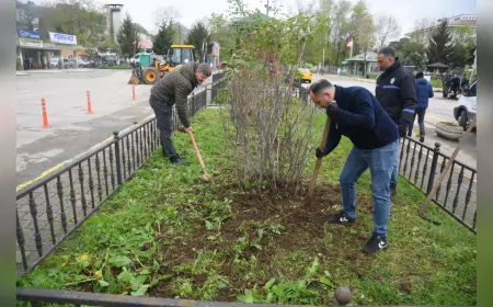 Giresun’da Refüjler Endemik Orman Gülü ile Renkleniyor