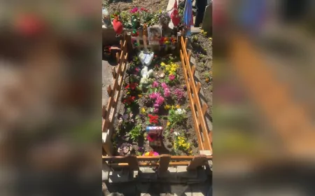 Kadıköy'de Mezar Alanında Tahribat Olayı: İstanbul Büyükşehir Belediyesi Konunun Takipçisi