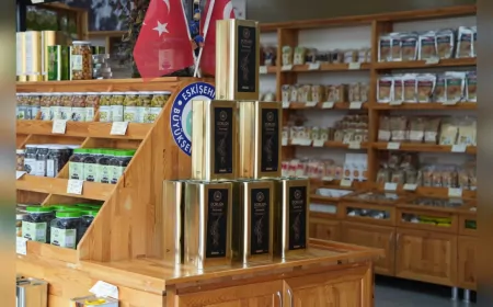 Eskişehir'de 5 Litrelik Dorlion Zeytinyağı Satışa Sunuldu