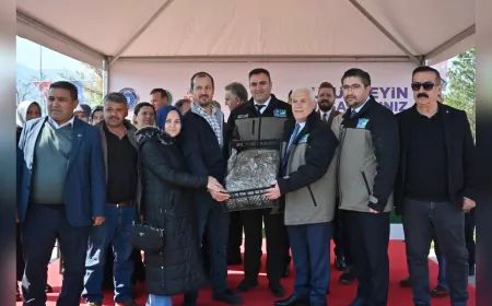 Bursa Büyükşehir Belediyesi'nden Çiftçilere 1 Milyon 222 Bin Adet Çilek Fidesi