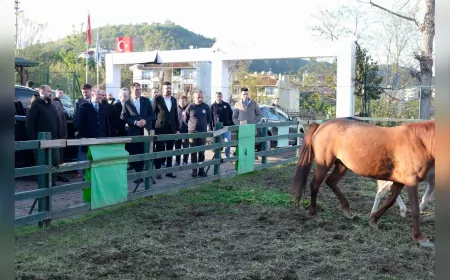 Başkan Köse ve Vali Serdengeçti Hayvan Barınağını Ziyaret Etti