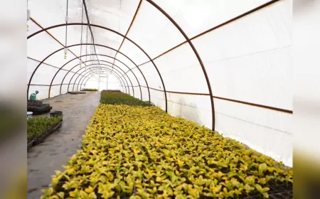 Düzce Belediyesi Tarım Akademisi’nde Yeni Düzenleme: Öğrenciler İçin Uygulamalı Eğitim Alanı