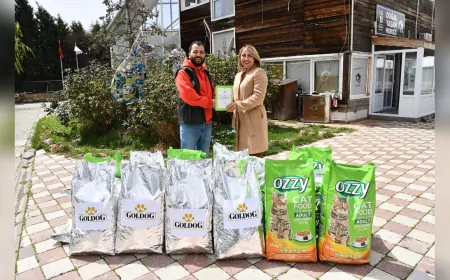 Hayvanseverlerden Patili Dostlara Büyük Destek: Mama Bağışı Devam Ediyor