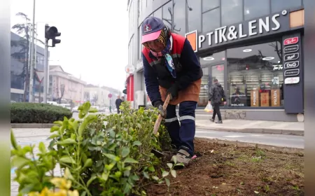 Düzce’de Yeşil Dönüşüm Hız Kesmiyor: 3 Ayda 160 Ağaç ve 13 Bin Bitki Dikildi