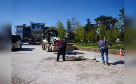 Düzce Millet Bahçesi Yaz Sezonuna Hazırlanıyor: Bakım ve Yenileme Çalışmaları Sürüyor