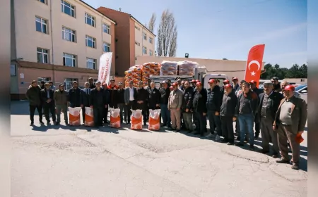 Eskişehir’de %50 Hibeli Yağlık Ayçiçeği Tohumu Desteği: 3 İlçede Çiftçilere Dağıtıldı
