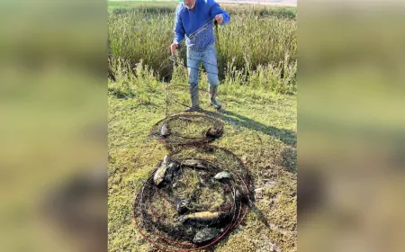 Eskişehir’de İstilacı Balık Türlerine Karşı Etkili Mücadele Başladı