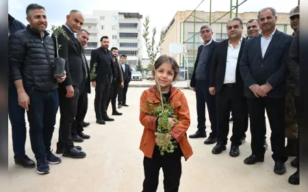 Mardin’de Zeytin Üretimine Destek: 8 Bin Fidan Çiftçilere Dağıtıldı