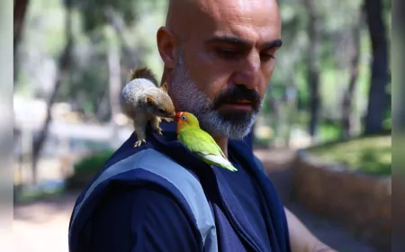 Antalya Doğal Yaşam Parkı’nda Yavru Hayvanlar Şefkatle Büyütülüyor