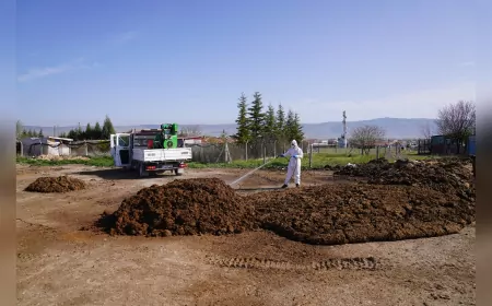 Tepebaşı Belediyesi İlaçlama Çalışmalarına Aralıksız Devam Ediyor