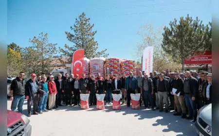 Çifteler, Mahmudiye ve Seyitgazi Çiftçilerine %50 Hibeli Yağlık Ayçiçeği Tohumu Desteği