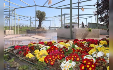 Yalova’nın Yeni Buluşma Noktası Çiçek Kafe, Yeni Sezona Hazırlanıyor