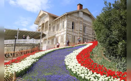 İstanbul’da Bahar Coşkusu Lale Bayramı’yla Taçlandı