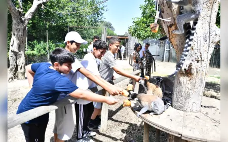 İzmir Büyükşehir Belediyesi’nden Çocuklara 23 Nisan Hediyesi: Doğal Yaşam Parkı Ücretsiz