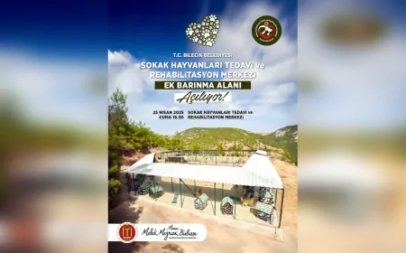 Bilecik Belediyesi’nden Can Dostlara Yeni Yuva: Ek Barınma Alanı Açılıyor