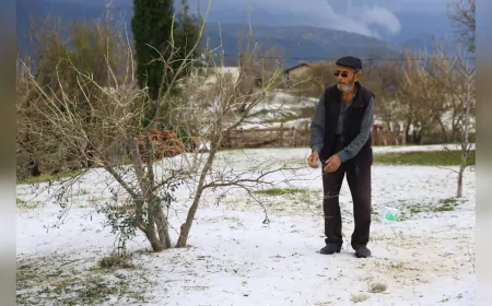 Büyükşehir Ekipleri Manavgat’ta Dolu Mağduru Çiftçilerin Yanında