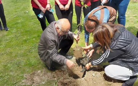 Fatih Anadolu Lisesi'nden “Okulum Yeşil Olsun” Projesi