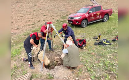 Diyarbakır’da İtfaiyeden Koyun Kurtarma Operasyonu
