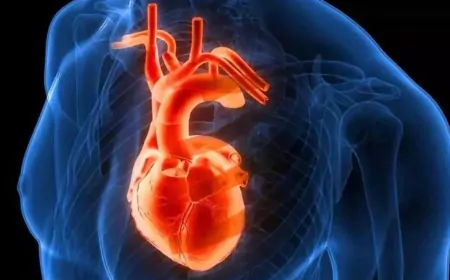 Aort Yırtılması Sessizce Geliyor: Belirtileri Tanıyın, Hayat Kurtarın