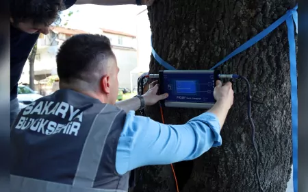Sakarya’da Ağaçların “Röntgeni” Çekiliyor: Büyükşehir’den Doğaya Yüksek Teknolojiyle Şifa