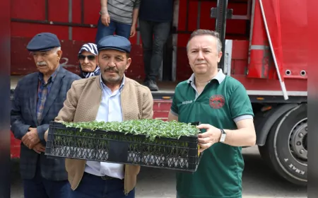Eskişehirli Çiftçiye 246 Bin Domates Fidesi Desteği