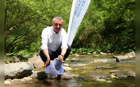 Kocaeli’de Doğaya 16 Bin Alabalık: Kirazdere’de Balıklandırma Devam Ediyor