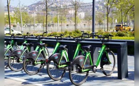 KOBİS Yenileniyor, Seka Park’ta Yeni Dönem Başladı